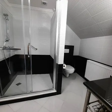 Borostyan Panzio Bed and Breakfast Ντέμπρετσεν