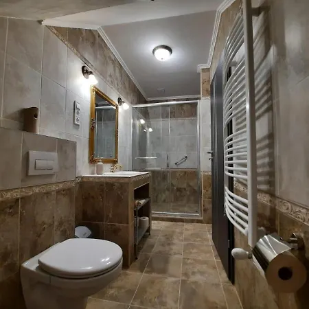 Borostyan Panzio 3* Ντέμπρετσεν