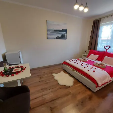 Bed & Breakfast Borostyan Panzio *